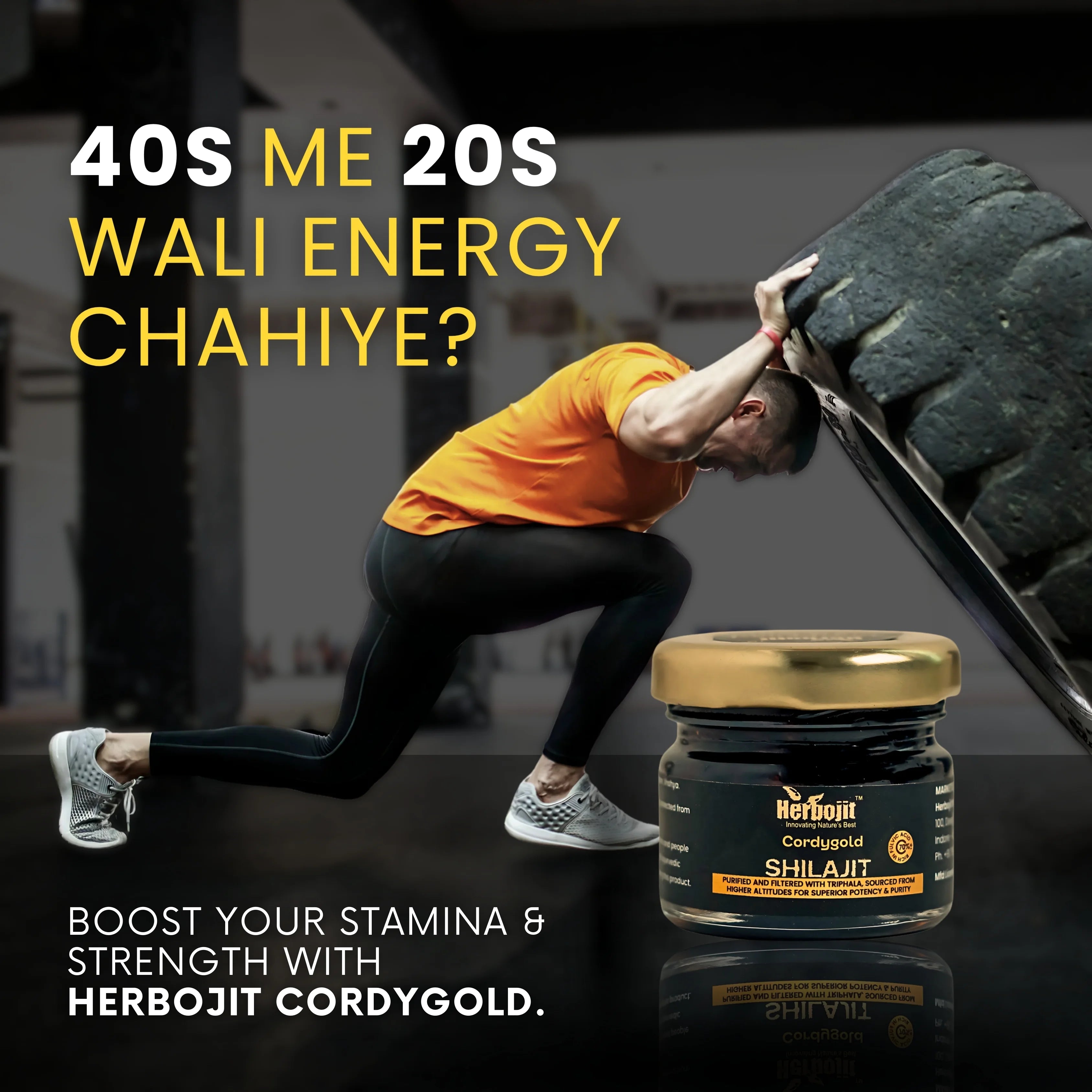 Cordygold X Shilajit