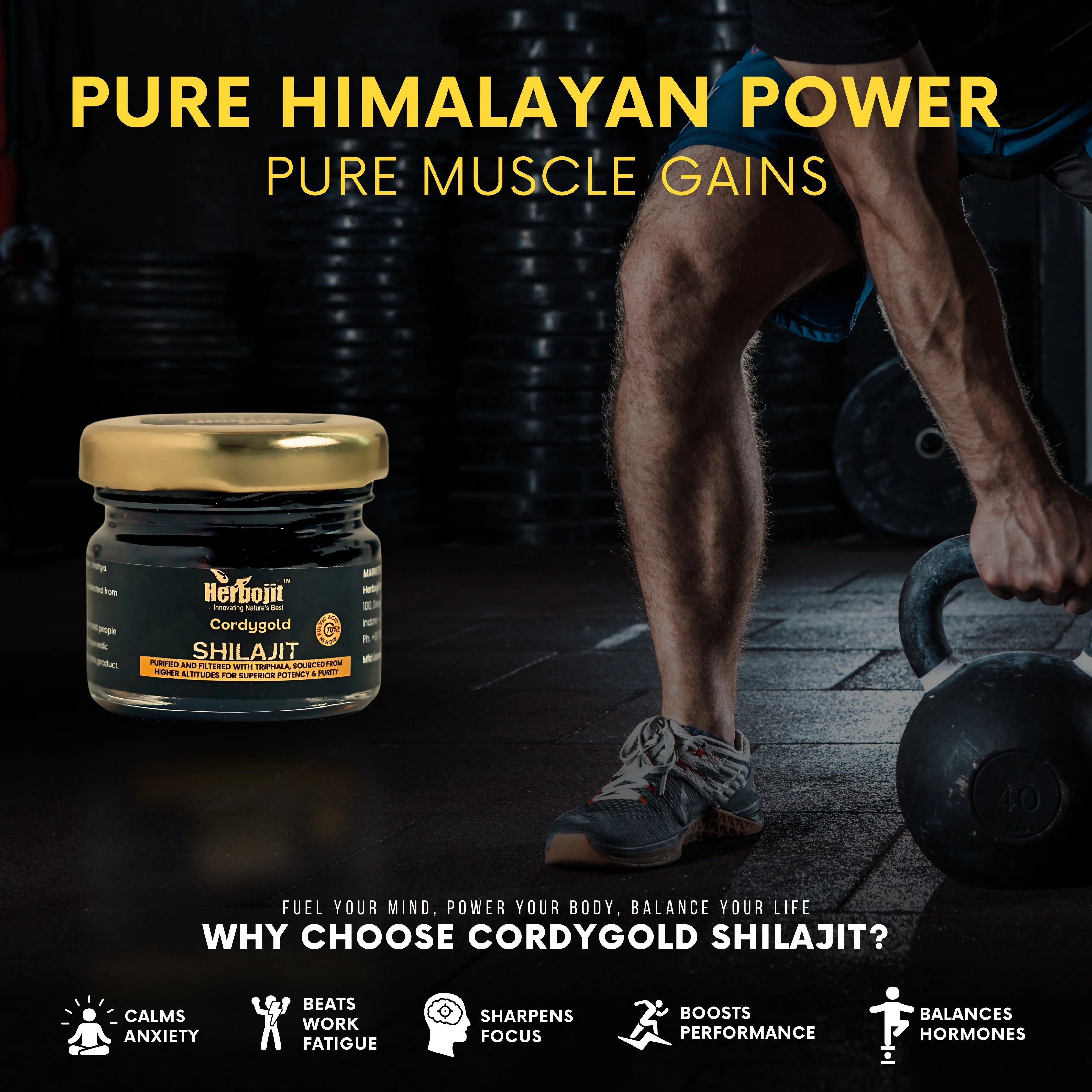 Cordygold X Shilajit