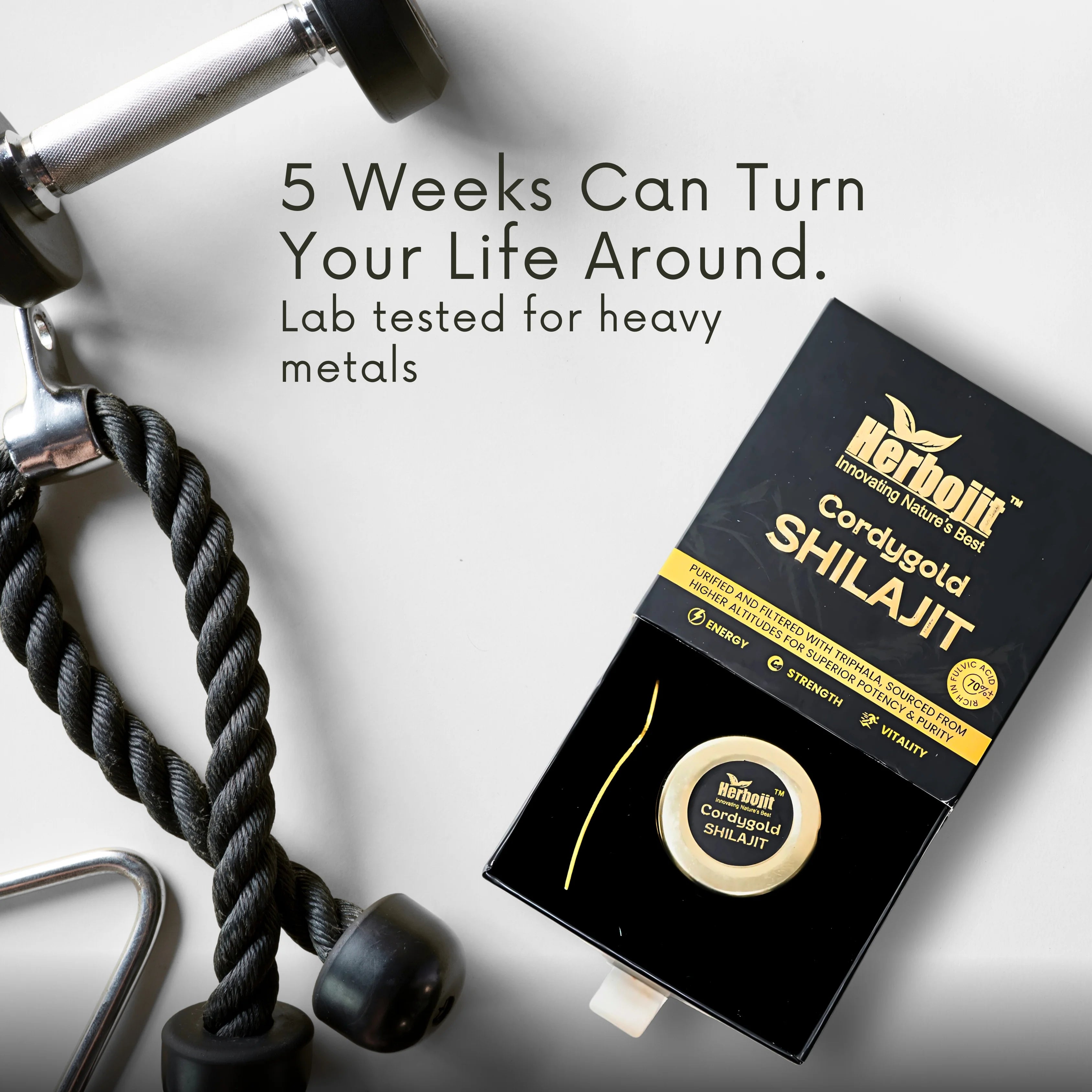 Cordygold X Shilajit