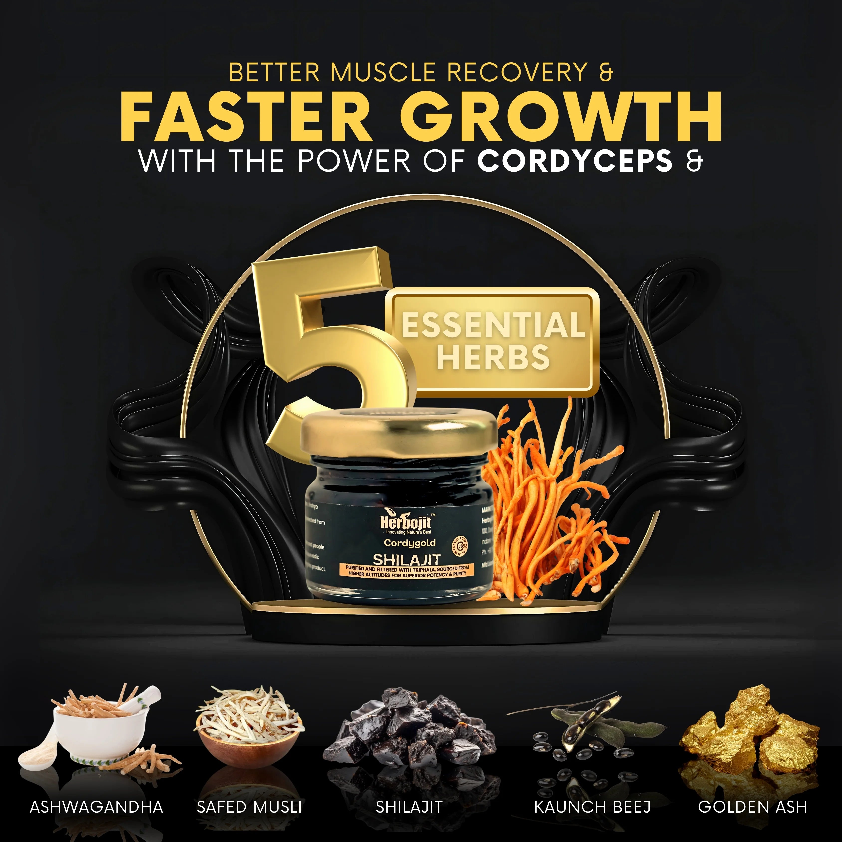 Cordygold X Shilajit