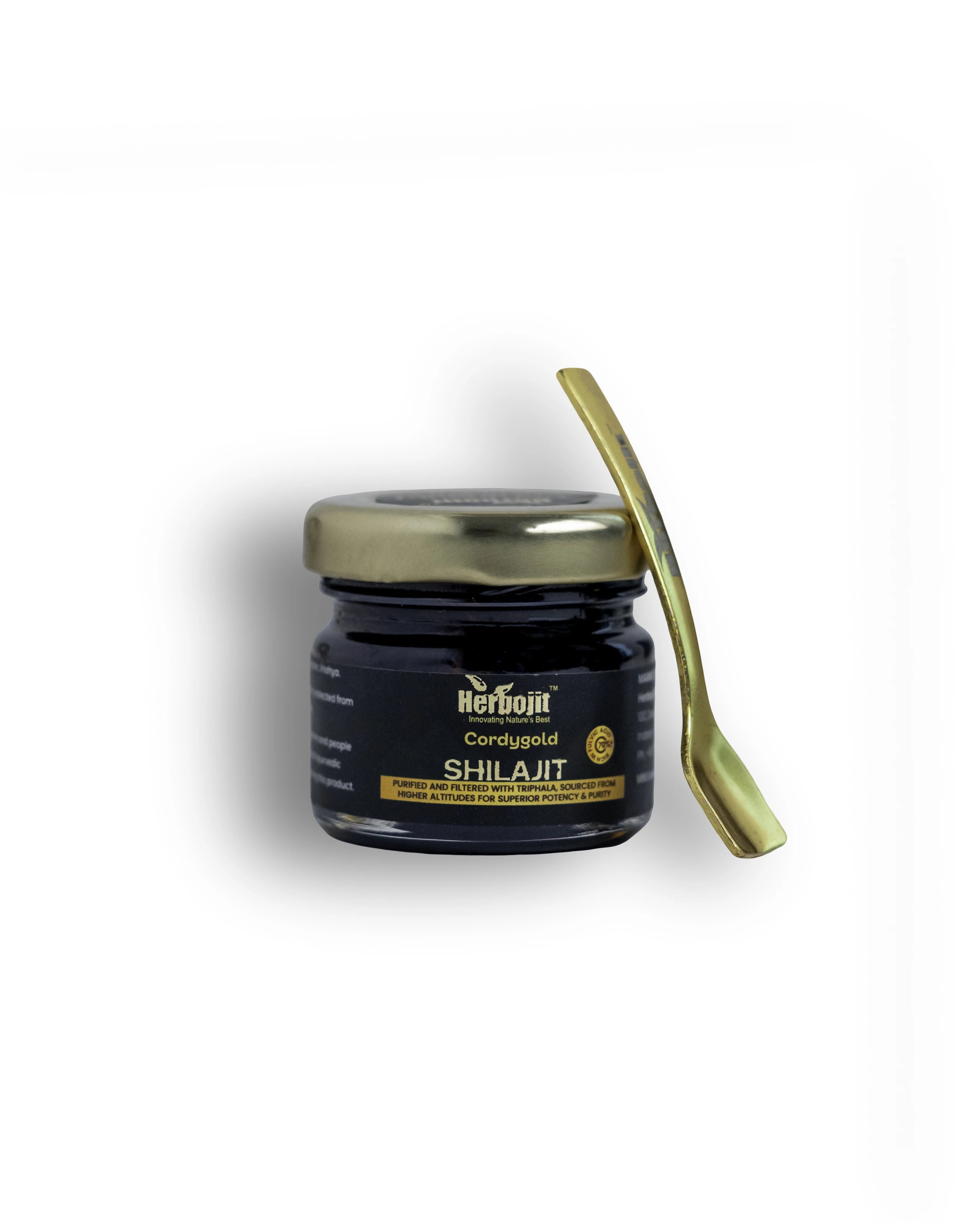 Cordygold X Shilajit