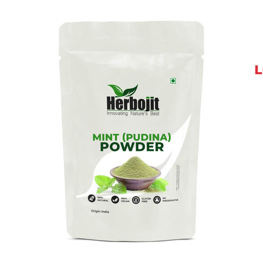 Mint (Pudina) Powder